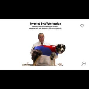 The Wonder Suit for Dogs! Large Long